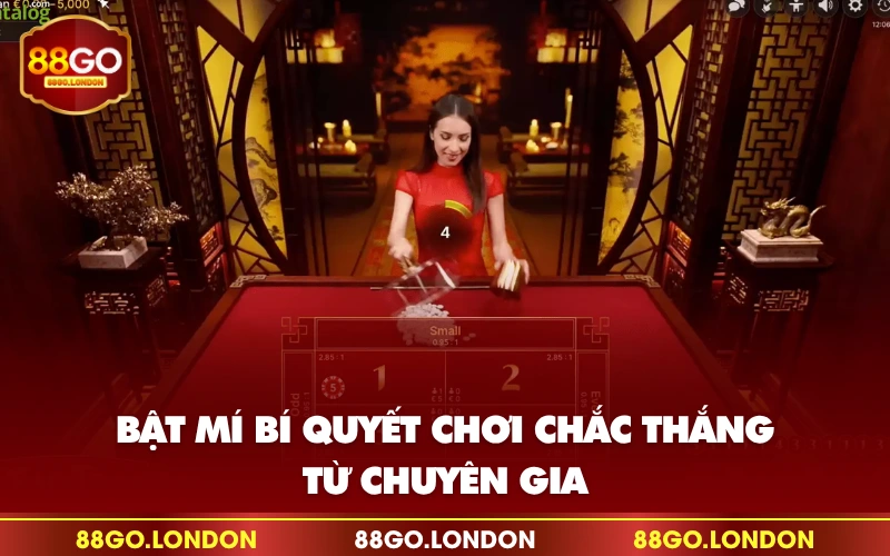 Bật mí bí quyết chơi chắc thắng từ chuyên gia Bật mí bí quyết chơi chắc thắng từ chuyên gia
