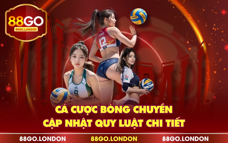 Cá Cược Bóng Chuyền - Tổng Hợp Những Kiến Thức Trọng Tâm