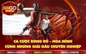 Cá Cược Bóng Rổ - Hòa Mình Cùng Những Giải Đấu Chuyên Nghiệp