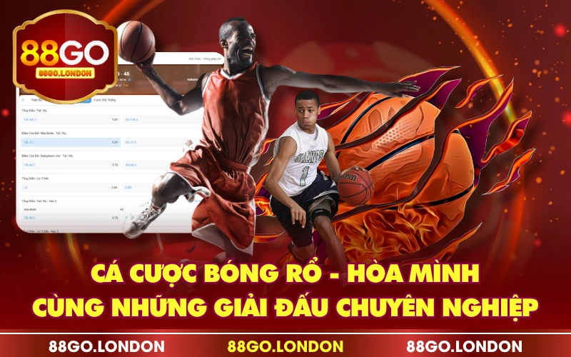 Cá Cược Bóng Rổ - Hòa Mình Cùng Những Giải Đấu Chuyên Nghiệp