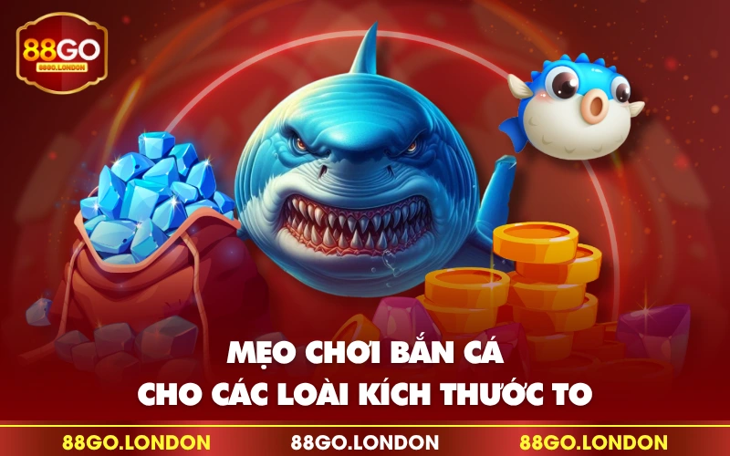 Mẹo chơi bắn cá cho các loài kích thước to Mẹo chơi bắn cá cho các loài kích thước to