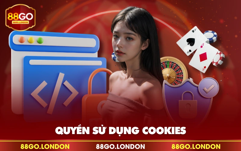 Quyền sử dụng cookies Quyền sử dụng cookies