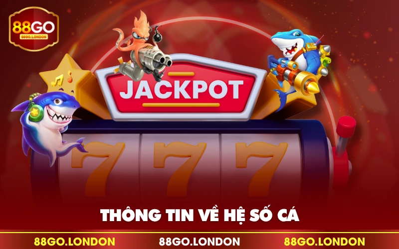 Thông tin về hệ số cá