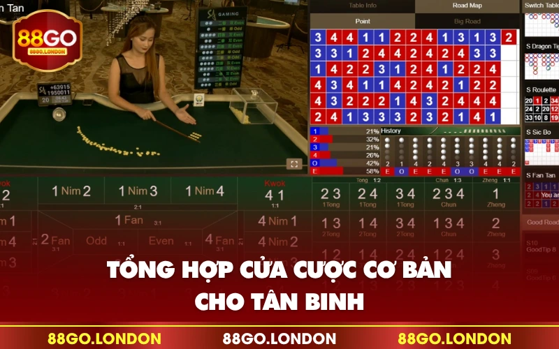 Tổng hợp cửa cược cơ bản cho tân binh Tổng hợp cửa cược cơ bản cho tân binh